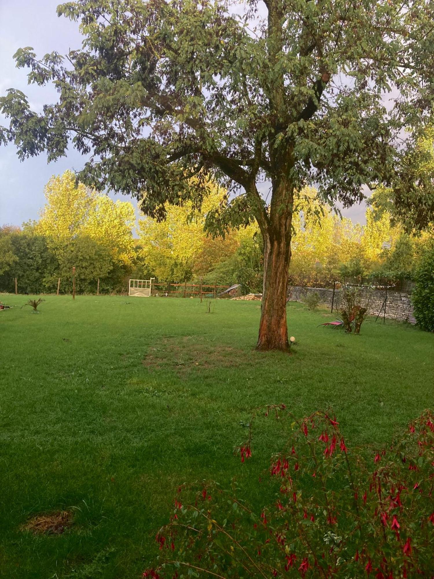 The Blue Lotus Gite And Spa Le Langon Bagian luar foto
